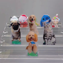 이미지를 갤러리 뷰어에 로드 , 사진 포함 흔들리는 애완 동물 · 머리 자동차용 · 데스크 장식품 ♪ 생일 선물