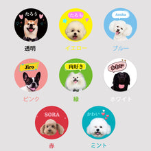 이미지를 갤러리 뷰어에 로드 , 사진들이 산책 영화 램프♪커스터마이즈 애완동물 용품