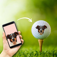 이미지를 갤러리 뷰어에 로드 , 오리지널 골프공 선물 사진·로고 포함 반려동물·애견·고양이